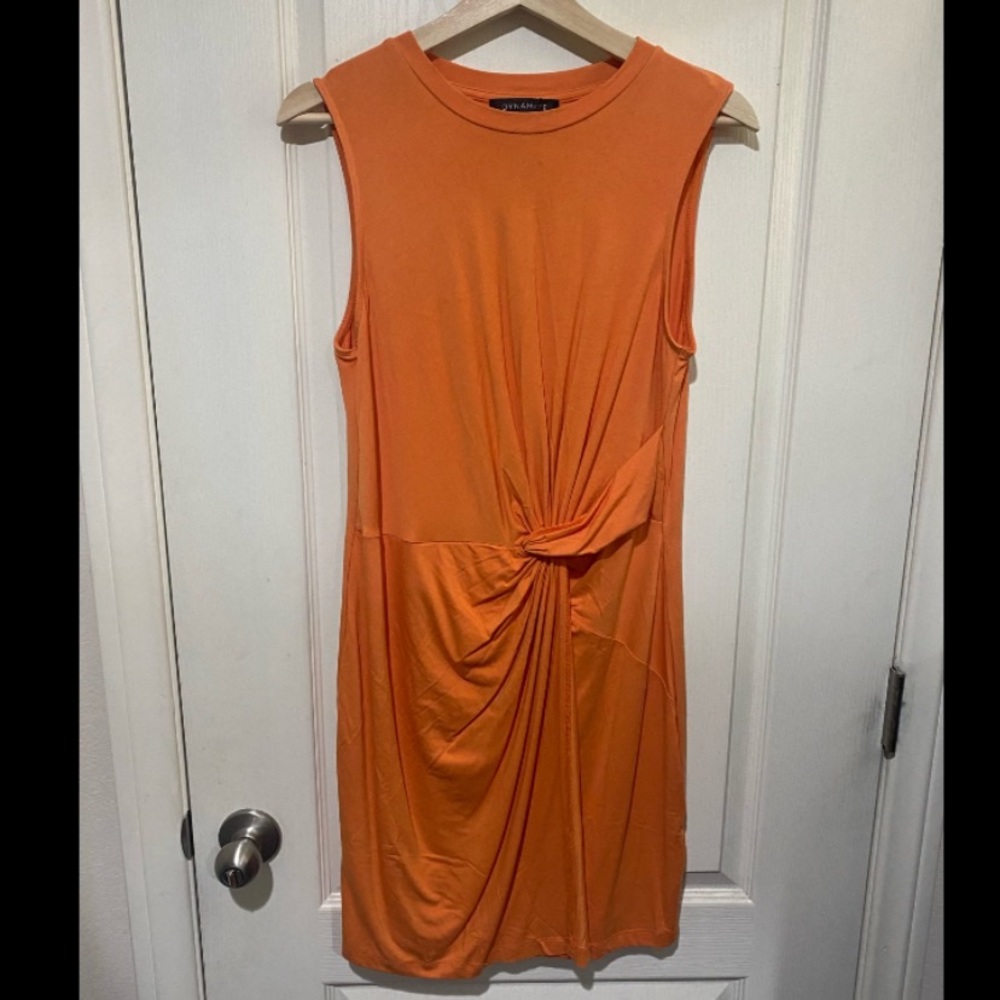 Brand New Dynamite Dress